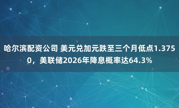 哈尔滨配资公司 美元兑加元跌至三个月低点1.3750，美联储2026年降息概率达64.3%