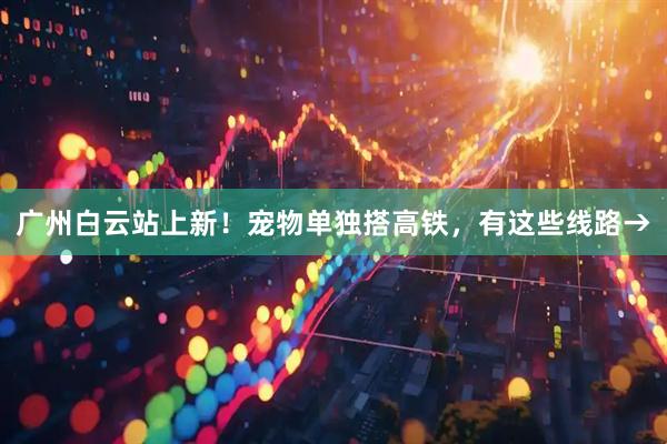 广州白云站上新！宠物单独搭高铁，有这些线路→
