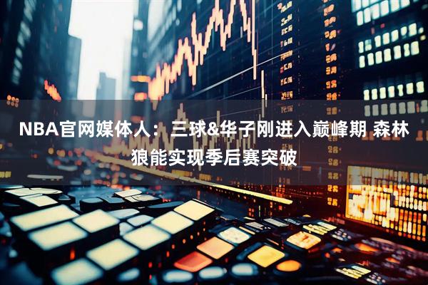 NBA官网媒体人：三球&华子刚进入巅峰期 森林狼能实现季后赛突破